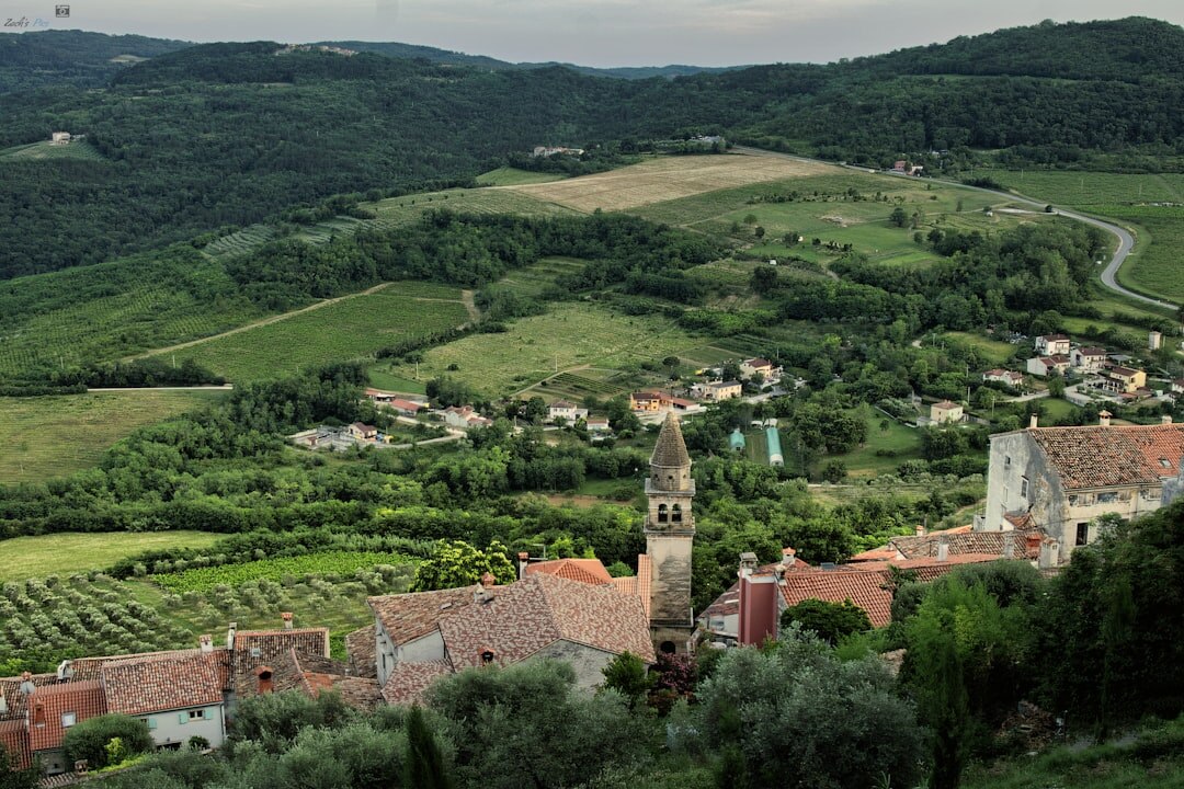 Hilltop town of Motovun surrounded by Istrian forests
