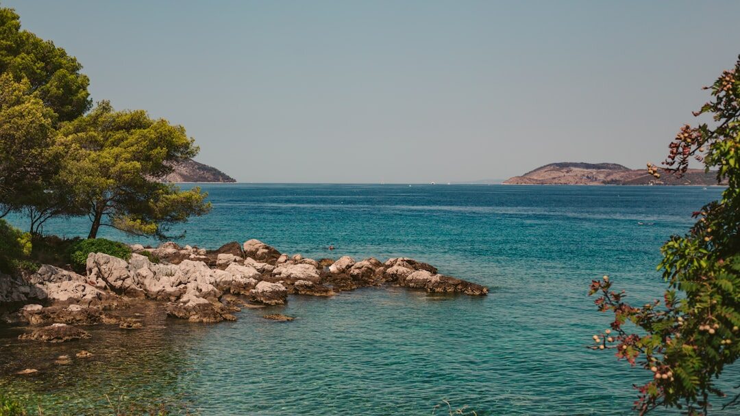 Turquoise hidden cove surrounded by pine trees on the Croatian coast