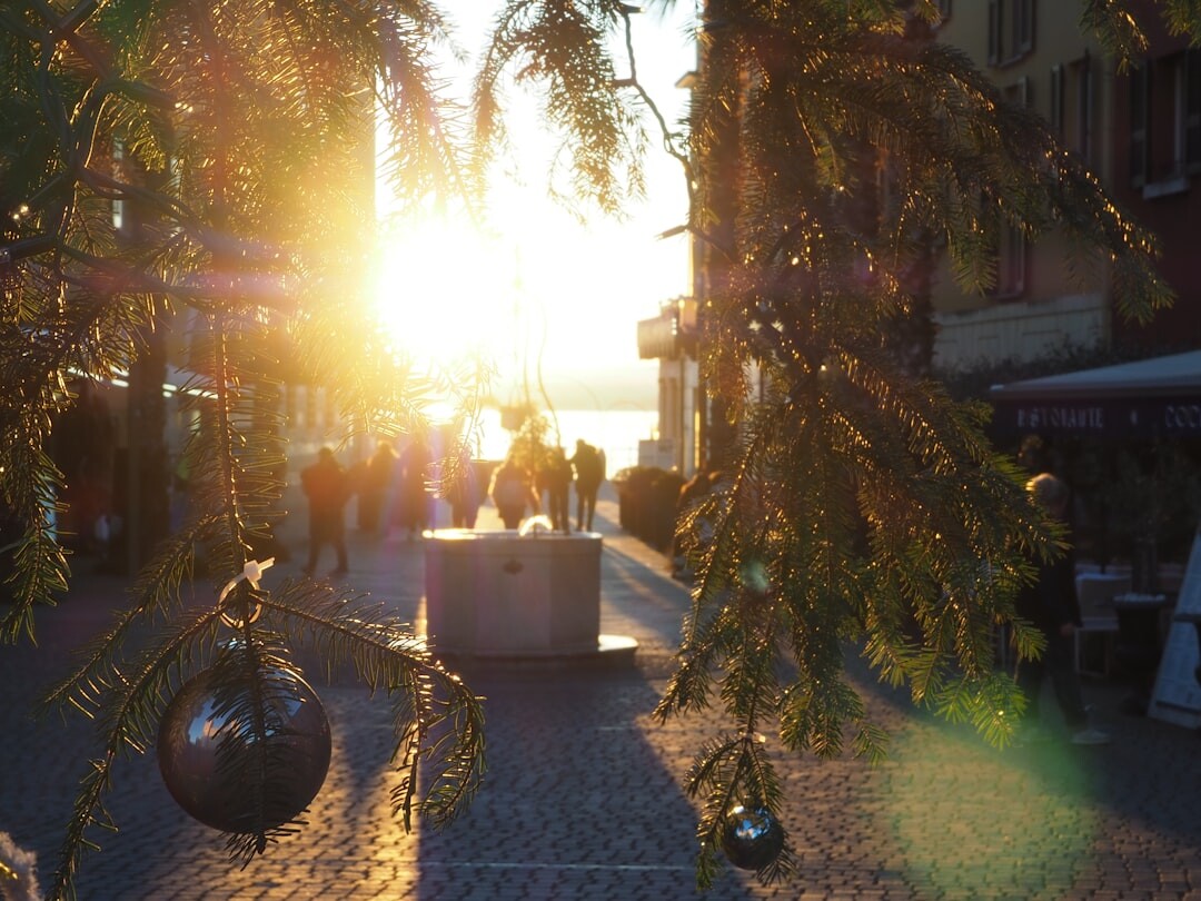 String lights over an outdoor summer gathering in a coastal square